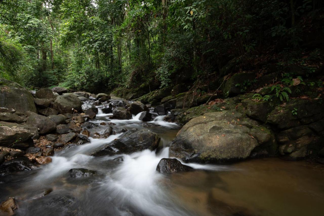 Moksha At Kitulgala - Rainforest Boutique Hotel Exterior foto